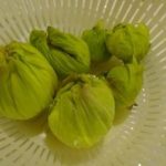 自然からの贈りもの、春を感じるフキノトウ