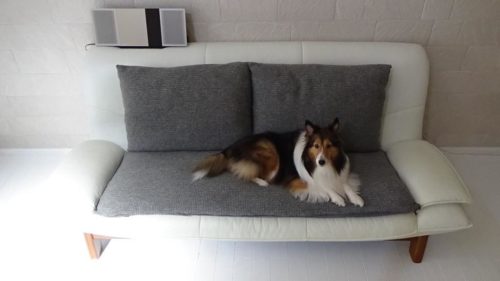 セリアの毛糸30個 ＆ ニトリの枕でソファーをイメージチェンジしてみる