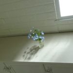花瓶の代わりに空き瓶で。庭で剪定した花を飾る