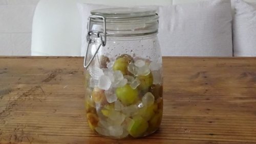 今年の梅仕事② 梅シロップを作る