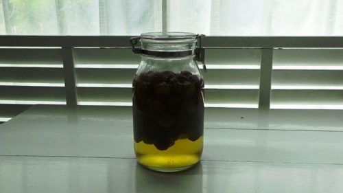 疲れたな・・・と思ったら、自家製梅シロップ