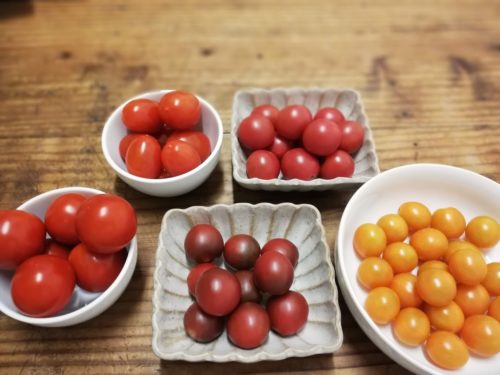 オーガニックフェスタ in あきた 2019